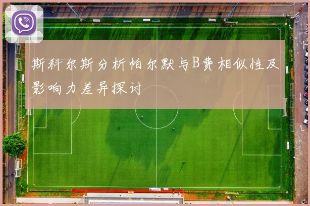 斯科尔斯分析帕尔默与B费相似性及影响力差异探讨